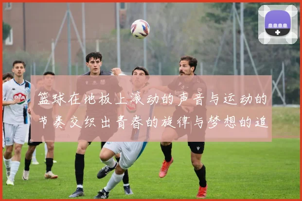 篮球在地板上滚动的声音与运动的节奏交织出青春的旋律与梦想的追逐